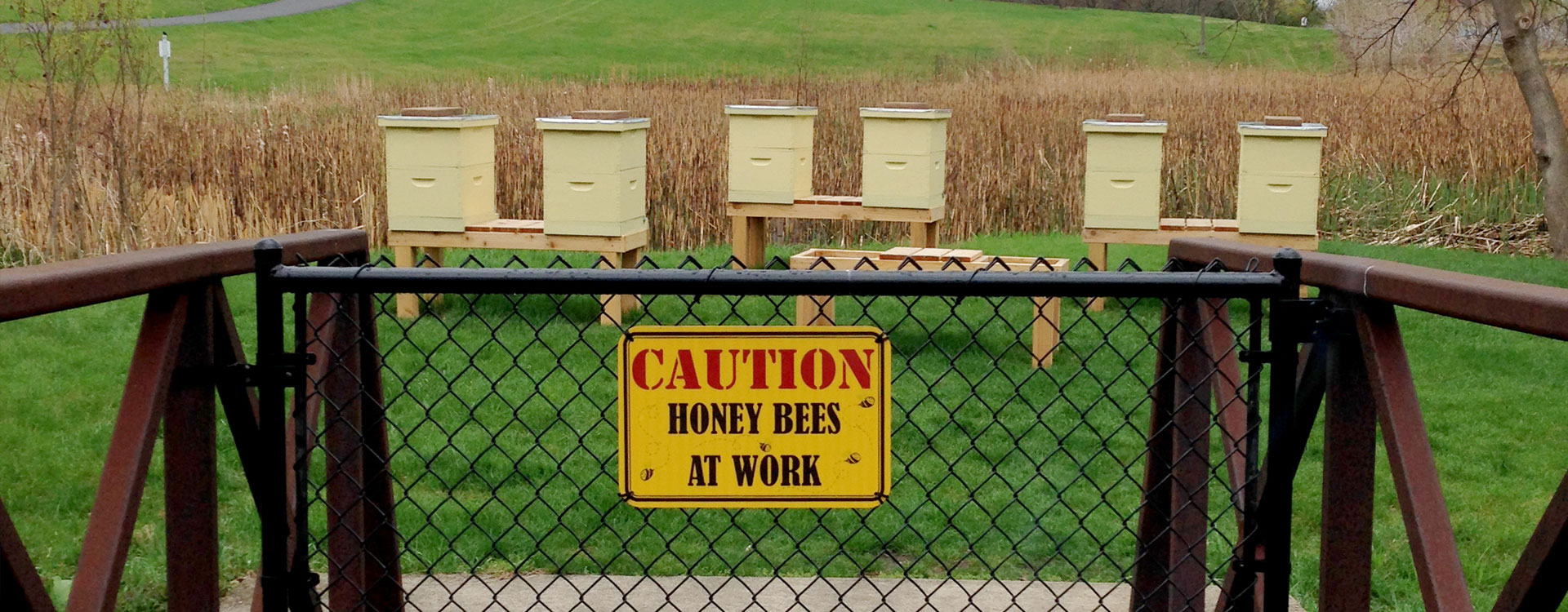 Honey Bee Hives at Lisle Community Park
