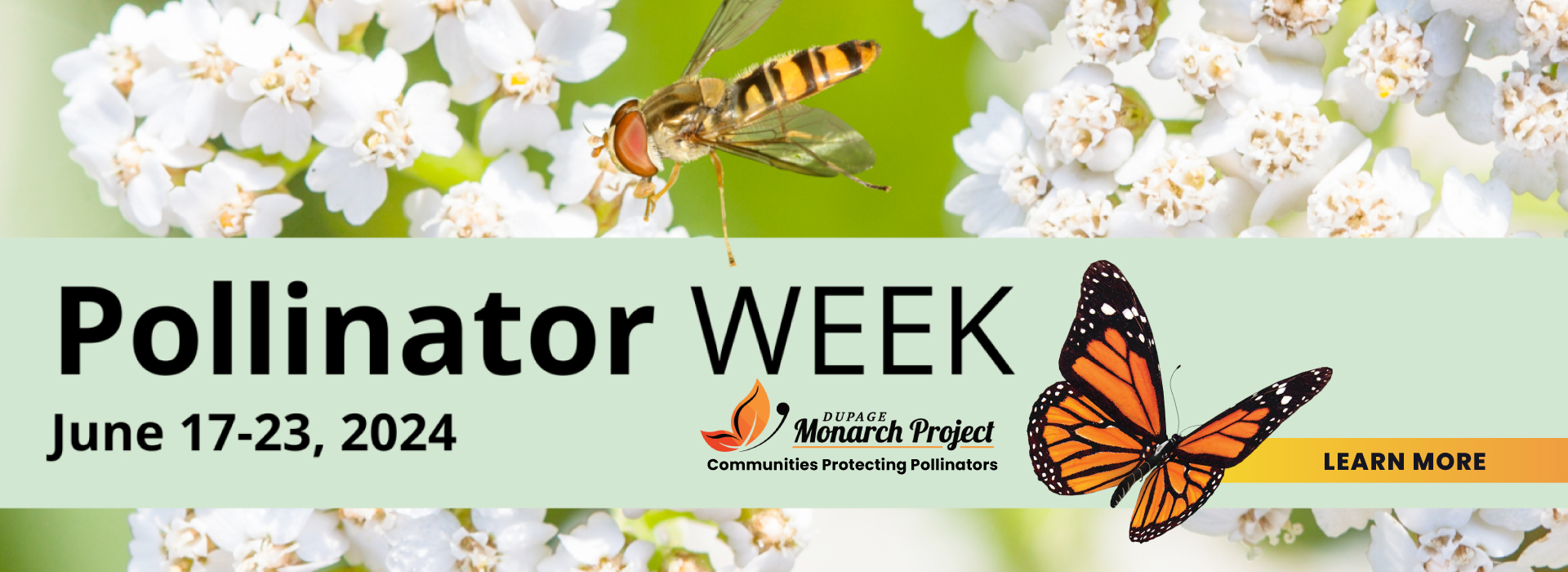 DuPage Monarchs Pollinator Week