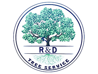 R D Tree Service